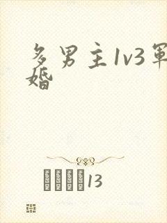 多男主1v3军婚