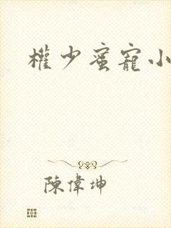 权少蜜宠小娇妻