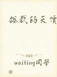 总裁的天价宠妻