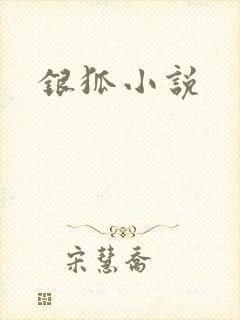 银狐小说
