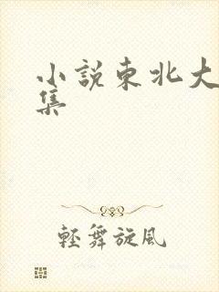 小说东北大炕全集