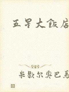五星大饭店小说