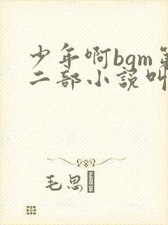 少年啊bgm第二部小说叫什么