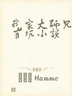 我家大师兄脑子有坑小说