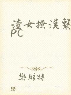 渣女撩汉系统NPC