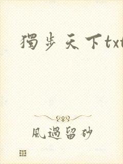 独步天下txt