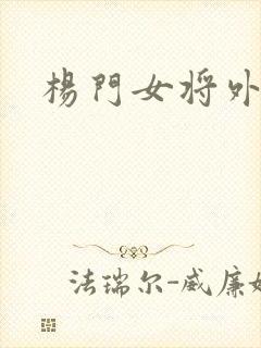 杨门女将外传
