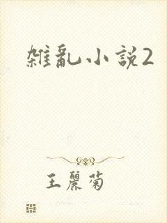 杂乱小说2