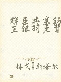 群臣共享的小公主银羽免背刺封面