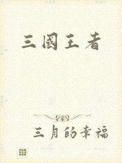 三国王者
