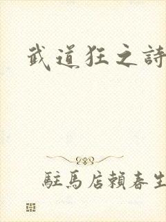 武道狂之诗