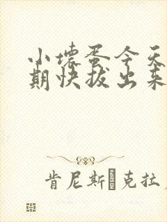 小坏蛋今天危险期快拔出来