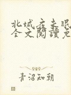 北城夜未眠小说全文阅读免费