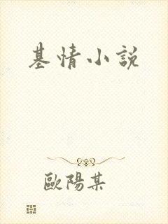 基情小说