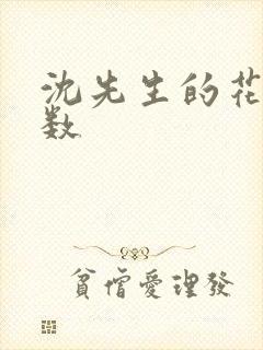 沈先生的花式调数