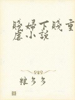 贱妇下贱重口玩虐小说封面