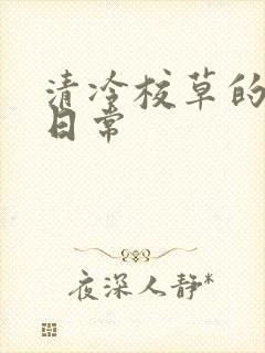 清冷校草的抹布日常