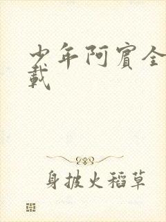 少年阿宾全集下载