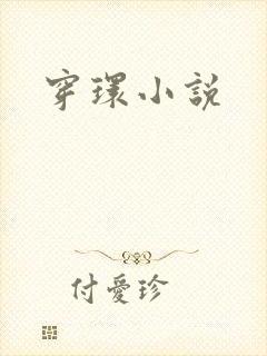 穿环小说