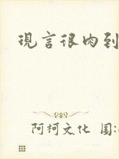 现言很肉到处做