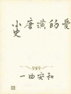 小唐璜的爱情历史封面