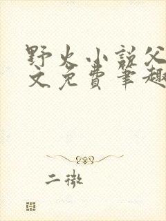 野火小说父女全文免费笔趣阁