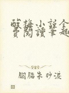 酸梅小说全文免费阅读笔趣阁