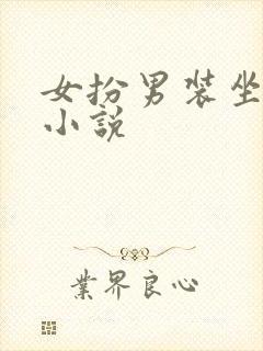 女扮男装坐江山小说