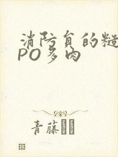 消防员的糙汉文PO多肉