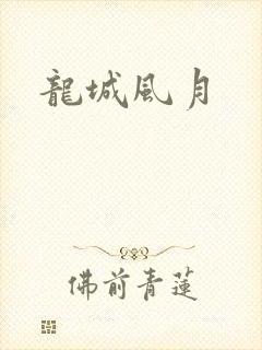 龙城风月封面