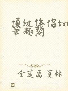 顶级伴侣txt笔趣阁