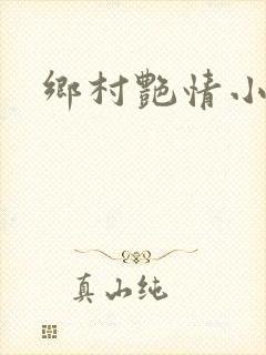 乡村艳情小说