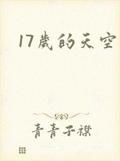 17岁的天空