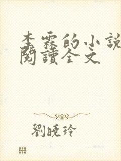 李霖的小说免费阅读全文