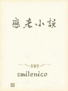 恋老小说