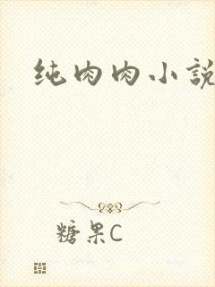 纯肉肉小说