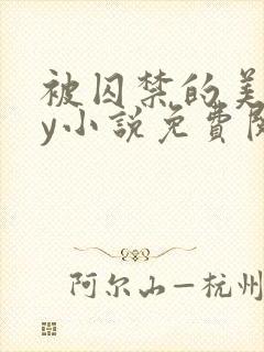 被囚禁的美人by小说免费阅读