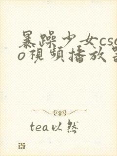 暴躁少女csgo视频播放器推荐