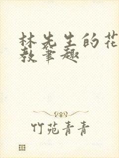 林先生的花式管教笔趣