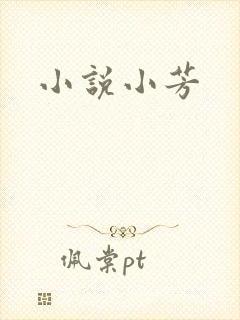 小说小芳
