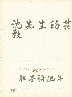 沈先生的花式调教