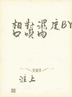 相对湿度BY大口吃肉