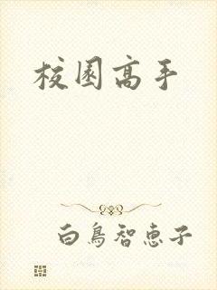 校园高手