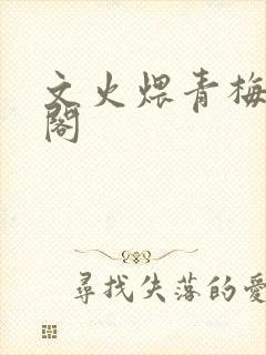 文火煨青梅笔趣阁