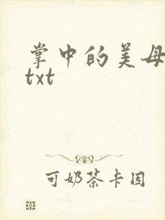 掌中的美母版主txt
