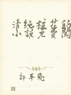 清纯校花的秘密小说免费阅读