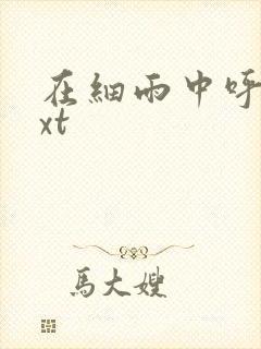 在细雨中呼喊txt