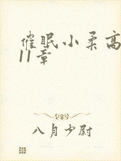 催眠小柔高达第11章