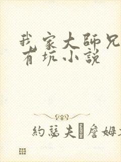 《我家大师兄脑子有坑小说》小说封面