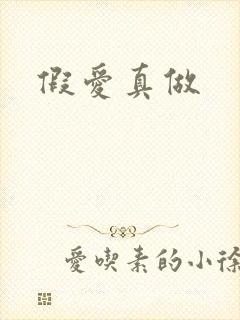 假爱真做